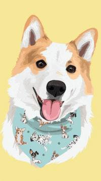 pupandrunning love heart yogi pup and running GIF