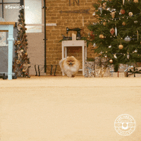Happy Sewing Bee GIF by The Great British Sewing Bee