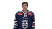 Celebration Goal Sticker by Fehervar AV19