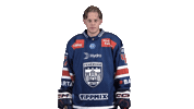 Celebration Goal Sticker by Fehervar AV19