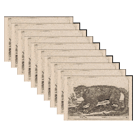 Gifitup2025 Sticker by GIF IT UP