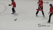 detroit red wings ice clean up GIF by NHL