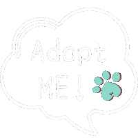 Cat Adopt Sticker by SUPPAWHK