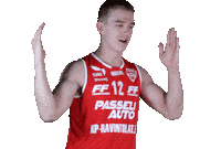 VilpasBasketball korisliiga vilpas vikings vilpas aatu kivimäki Sticker