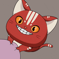Give Me Cute Cat GIF by Kitaro World