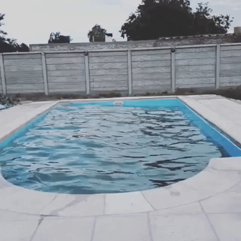 Argentina Earthquake Rocks Water in Swimming Pool From Side to Side

