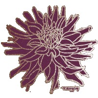 Dahlia Flower Art Sticker