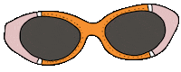 rio de janeiro sunglasses Sticker by Salinas