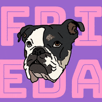 Bulldog GIF by THE YAY