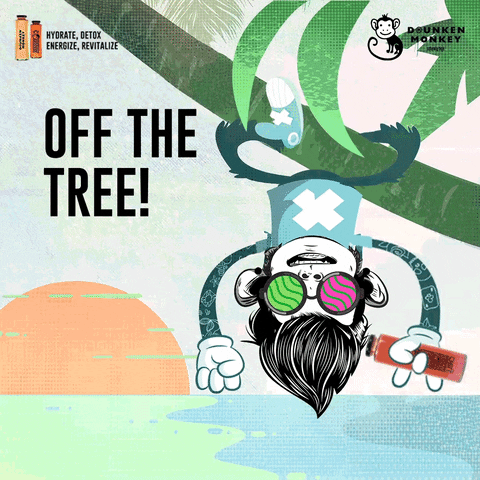 drunkenmonkeynaturallyhigh giphyupload GIF