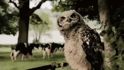 listening GIF