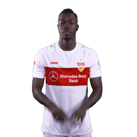 Var Videobeweis Sticker by VfB Stuttgart