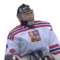 Winter Olympics Sport Sticker by International Paralympic Committee