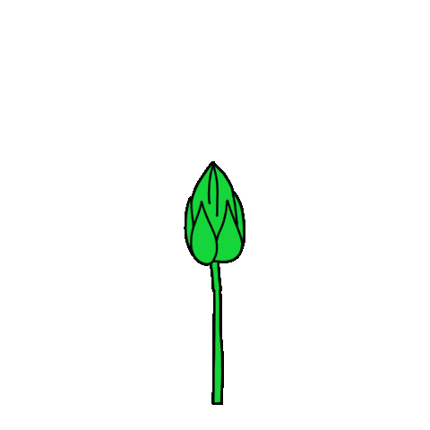 Summer Growing Sticker