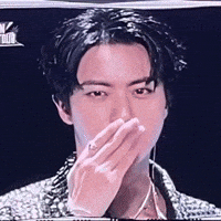 Jin Bts Kiss GIF
