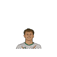 Sport Heerlen Sticker by Groene ster
