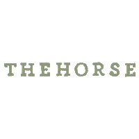 The_Horse the horse arrivedfromthestables thehorsewatch Sticker