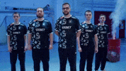 Counter Strike Team GIF by BLAST