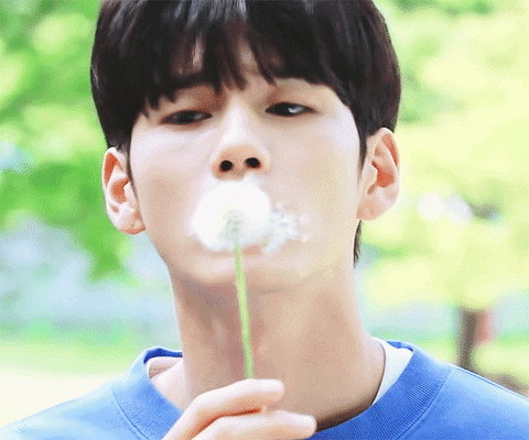 Kpopmap giphyupload GIF