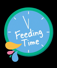 HGHPets dog food feeding time brilliant bites happy go healthy GIF