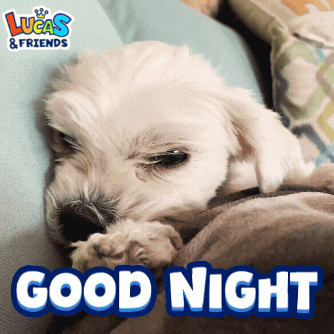 Good Night Sleeping GIF by Lucas and Friends by RV AppStudios