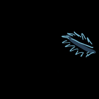Scared Chicken GIF by Jeremy Speed Schwartz