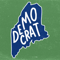Vote Early Election Day GIF by Creative Courage