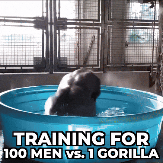 Gorilla Man Training GIF