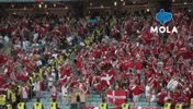 Happy Football GIF by MolaTV