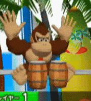 Donkey Kong Gamecube GIF