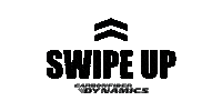 Carbon Cfd Sticker by Carbonfiber Dynamics