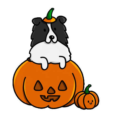 Border Collie Dog Sticker by TEHZETA