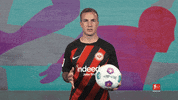 Eintracht Frankfurt Ball GIF by Bundesliga