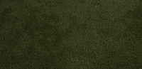 Lacrosse GIF by Lafayette Leopards