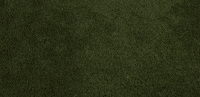 Lacrosse GIF by Lafayette Leopards