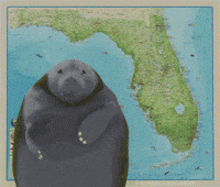 Florida Keys Vacation GIF