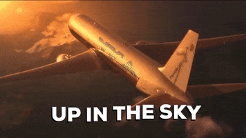 Flying First Class GIF by Contrast Magazine