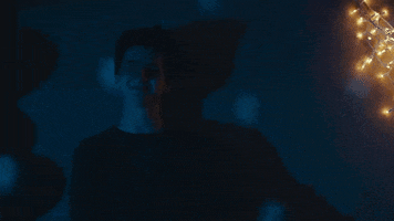 timothee chalamet GIF by Miss Stevens