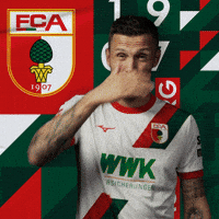 Jeffrey Gouweleeuw Football GIF by FC Augsburg 1907