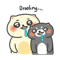 Hungry Cute Cat GIF