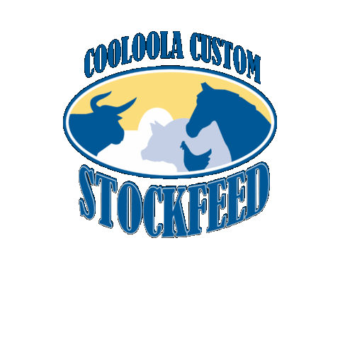 ccstockfeed giphygifmaker animals ccsf ccstockfeed Sticker