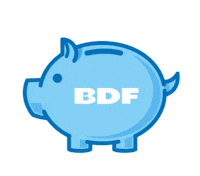 BDFNicaragua online agencia dinero fortuna Sticker