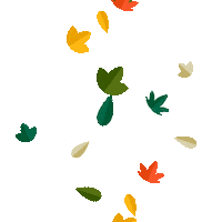 South Florida Fall Sticker by University of South Florida