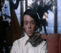 harold and maude cult movies GIF by absurdnoise