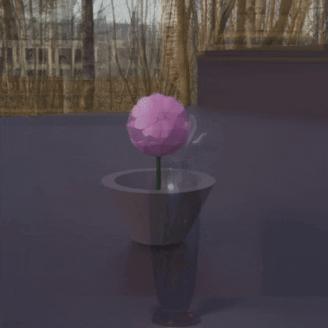 cirsis giphyupload GIF