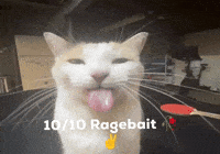 Gang Tuff GIF