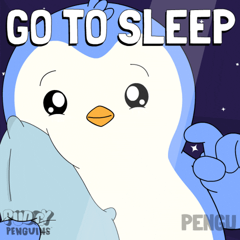 Good Night Penguin GIF by Pudgy Penguins