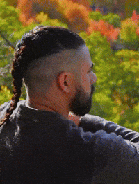 Hair Viking GIF