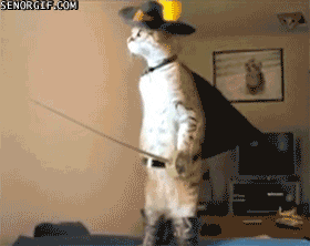 puss in boots wtf GIF by Cheezburger
