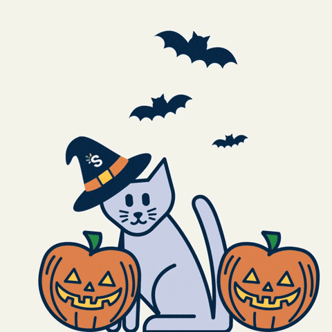 Cat Halloween GIF by Snap Finance